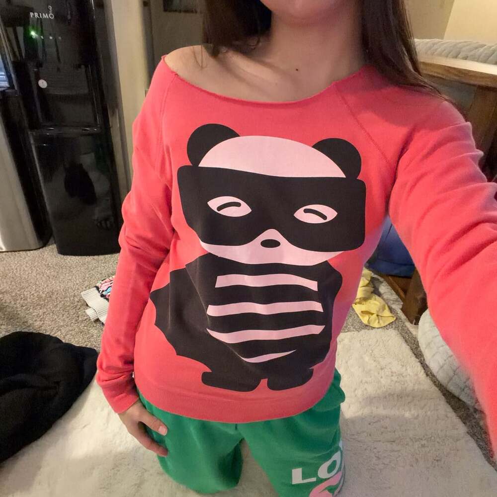 Freeze Pink Panda Superhero Mask Graphic Sweatshirt